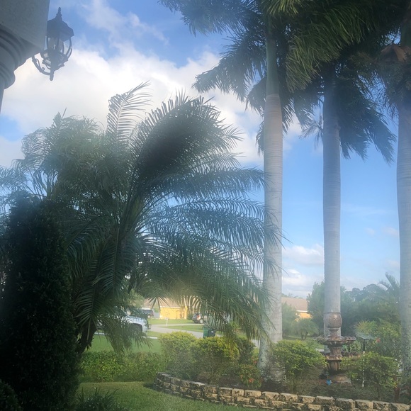 Meet your Posher, Marie - Picture 3 of 8